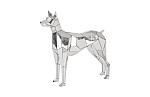 Crazy Cut Dog Stainless Steel Silver Sculpture