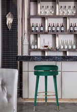 Load image into Gallery viewer, Coral Velvet Swivel Bar Stool
